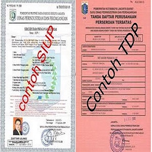 Layanan Rekomendasi Perizinan Usaha Perdagangan